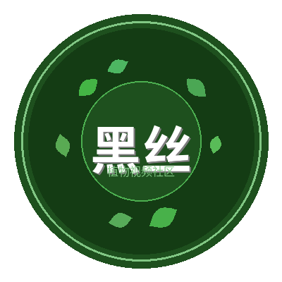 黑丝
